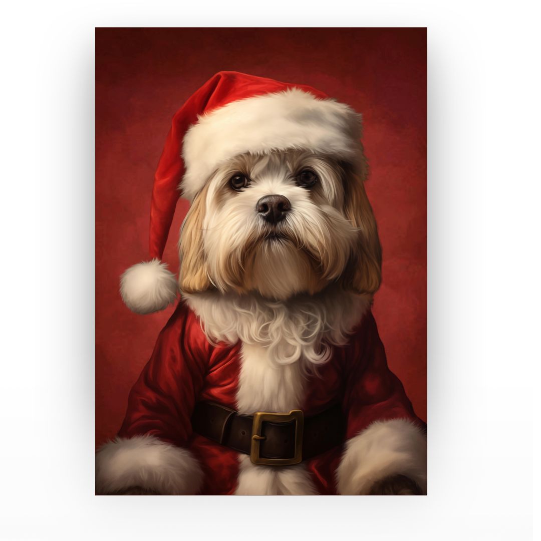 Kerst - Huisdier Portret