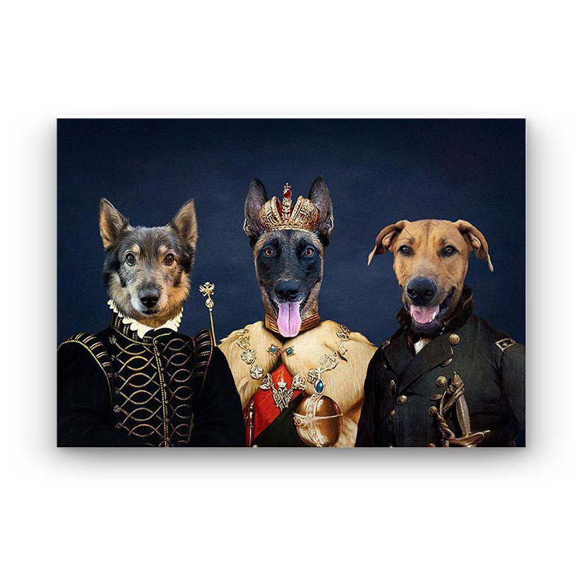 <tc>Triple Pet Portrait</tc>