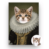 The Baron - Pet portrait