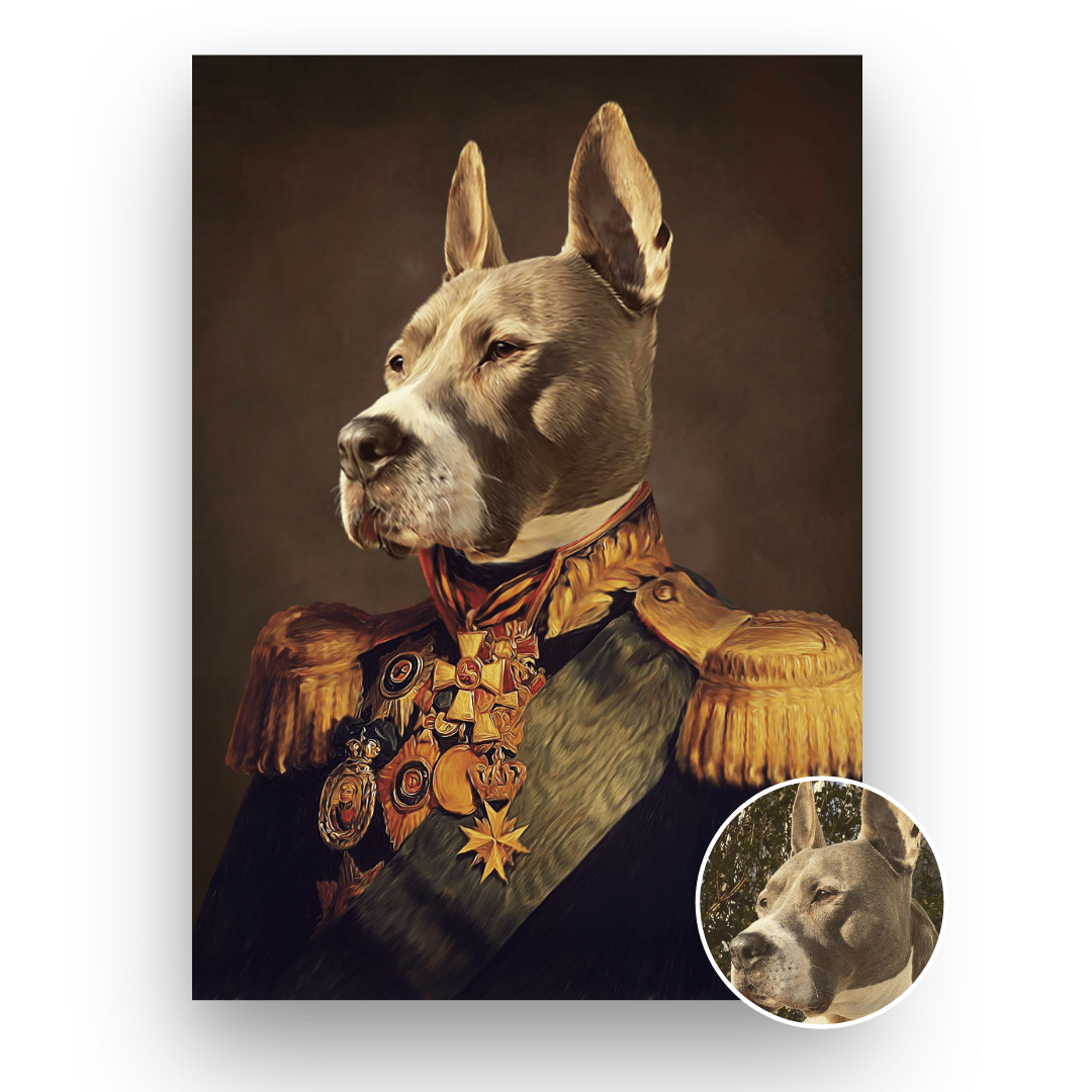 The Veteran II - Pet portrait